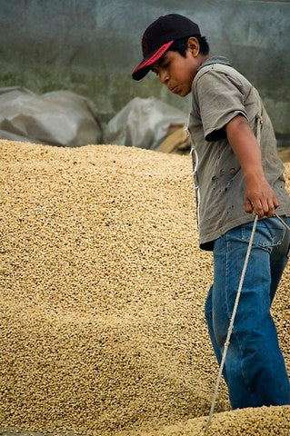 Guatemala - San Pedro